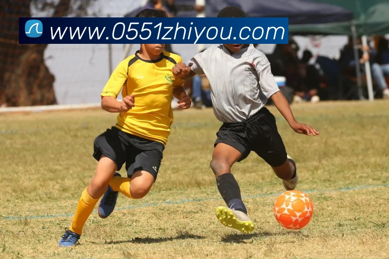 九游APP 封面图
